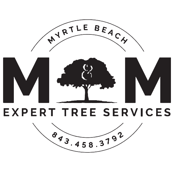M & M Tree Services